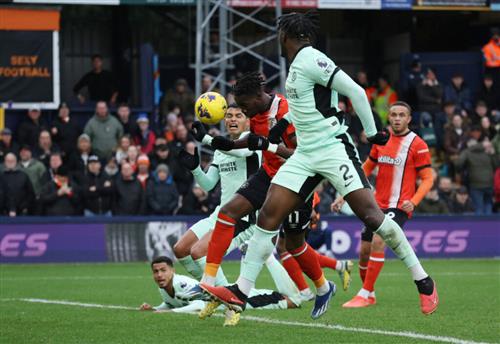Paddy Betting Guide: Tips, Strategies & Insights